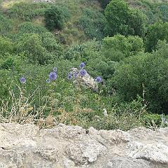 IMG_3518
