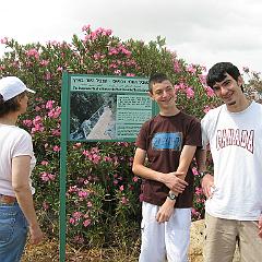 IMG_3520