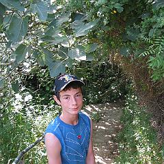 IMG_3452