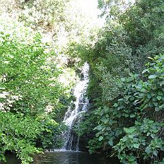 IMG_3457