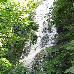 IMG_3458