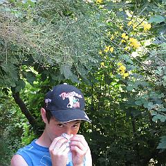 IMG_3461