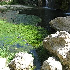 IMG_3477