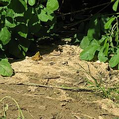 IMG_3484