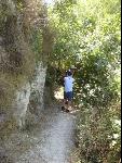 Thumbnail Image, Click to Enlarge thumb_IMG_0111.JPG