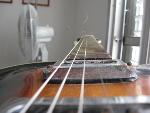 Thumbnail Image, Click to Enlarge thumb_IMG_0229.JPG
