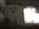 Thumbnail Image, Click to Enlarge thumb_IMG_0070.JPG