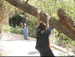 Thumbnail Image, Click to Enlarge thumb_IMG_1429.JPG