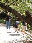 Thumbnail Image, Click to Enlarge thumb_IMG_1430.JPG