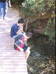 Thumbnail Image, Click to Enlarge thumb_IMG_1432.JPG