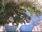 Thumbnail Image, Click to Enlarge thumb_IMG_1433.JPG