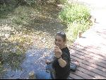 Thumbnail Image, Click to Enlarge thumb_IMG_1434.JPG