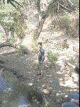 Thumbnail Image, Click to Enlarge thumb_IMG_1436.JPG