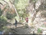 Thumbnail Image, Click to Enlarge thumb_IMG_1438.JPG