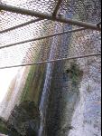 Thumbnail Image, Click to Enlarge thumb_IMG_1440.JPG