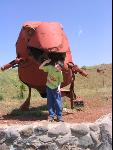 Thumbnail Image, Click to Enlarge thumb_IMG_0688.JPG