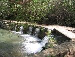 Thumbnail Image, Click to Enlarge thumb_IMG_4162.JPG