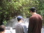 Thumbnail Image, Click to Enlarge thumb_IMG_4169.JPG