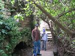 Thumbnail Image, Click to Enlarge thumb_IMG_4172.JPG