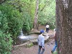 Thumbnail Image, Click to Enlarge thumb_IMG_4173.JPG