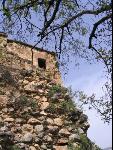 Thumbnail Image, Click to Enlarge thumb_IMG_4184.JPG