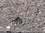 Thumbnail Image, Click to Enlarge thumb_IMG_4189b.jpg