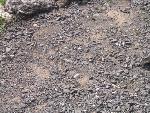 Thumbnail Image, Click to Enlarge thumb_IMG_4190.JPG