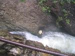 Thumbnail Image, Click to Enlarge thumb_IMG_4206.JPG