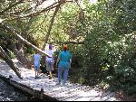 Thumbnail Image, Click to Enlarge thumb_IMG_2128.JPG