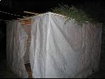 Thumbnail Image, Click to Enlarge thumb_IMG_1371.JPG