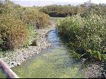 Thumbnail Image, Click to Enlarge thumb_IMG_1376.JPG
