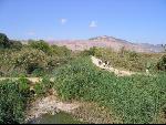 Thumbnail Image, Click to Enlarge thumb_IMG_1377.JPG