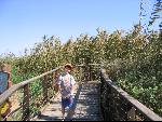 Thumbnail Image, Click to Enlarge thumb_IMG_1383.JPG