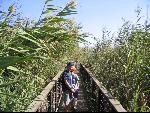 Thumbnail Image, Click to Enlarge thumb_IMG_1385.JPG