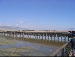 Thumbnail Image, Click to Enlarge thumb_IMG_1390.JPG