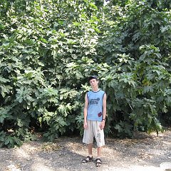 IMG_3736