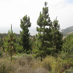 IMG_3612