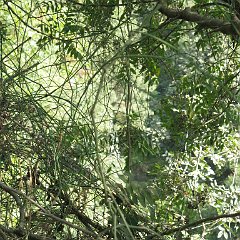 IMG_3860