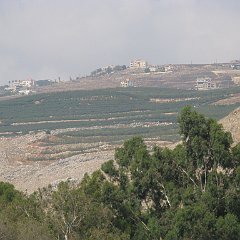 TanurZivAbba