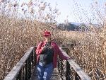 Thumbnail Image, Click to Enlarge thumb_IMG_3572.JPG