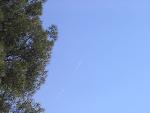 Thumbnail Image, Click to Enlarge thumb_IMG_4034.JPG