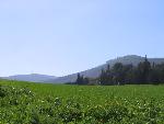 Thumbnail Image, Click to Enlarge thumb_IMG_4036.JPG
