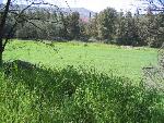 Thumbnail Image, Click to Enlarge thumb_IMG_4046.JPG