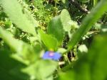 Thumbnail Image, Click to Enlarge thumb_IMG_4058.JPG
