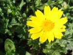 Thumbnail Image, Click to Enlarge thumb_IMG_4063.JPG