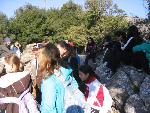 Thumbnail Image, Click to Enlarge thumb_IMG_3480.JPG