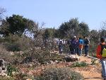 Thumbnail Image, Click to Enlarge thumb_IMG_3484.JPG