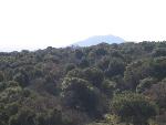 Thumbnail Image, Click to Enlarge thumb_IMG_3495.JPG