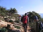 Thumbnail Image, Click to Enlarge thumb_IMG_3505.JPG