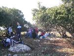 Thumbnail Image, Click to Enlarge thumb_IMG_3525.JPG